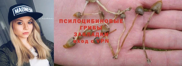 альфа пвп Алзамай