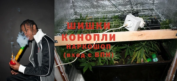 каннабис Аркадак