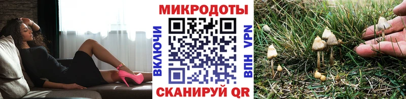 blacksprut вход  Лянтор  Псилоцибиновые грибы Psilocybe 