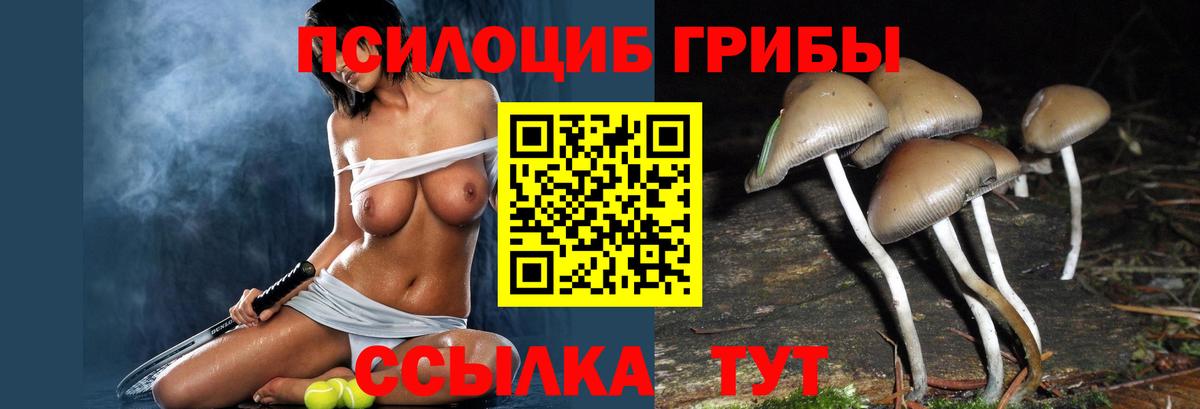 LSD-25  Вход с VPN  A-PVP СК кристаллы  Cocaine  Наркошоп  МЕФ   Лянтор  ГАШ  Каннабис 
