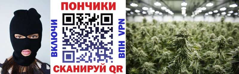 Каннабис план  Лянтор 